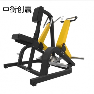 中衡创赢背肌后展训练器ZHCY-6643 商用健身器材综合训练其力量训练器械