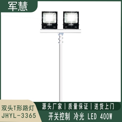 军慧JHYL-3365 10米LED双头T形路灯