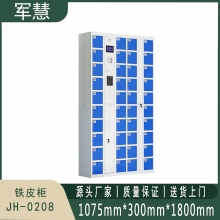 军慧 铁皮柜 JH-0208 蓝灰色