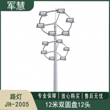 路灯 军慧JH-2005