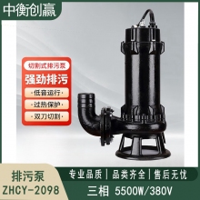 排污泵三相5500W/380V 中衡创赢ZHCY-2098