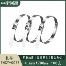 扎带 中衡创赢 ZHCY-0073