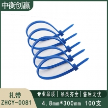 扎带 中衡创赢 ZHCY-0081